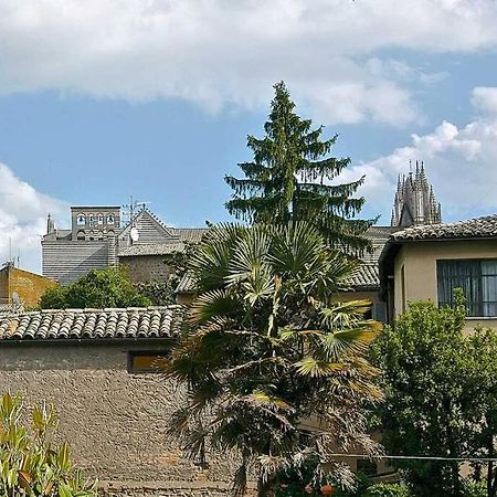 Il Gelsomino Di Isia Villa Orvieto Ngoại thất bức ảnh