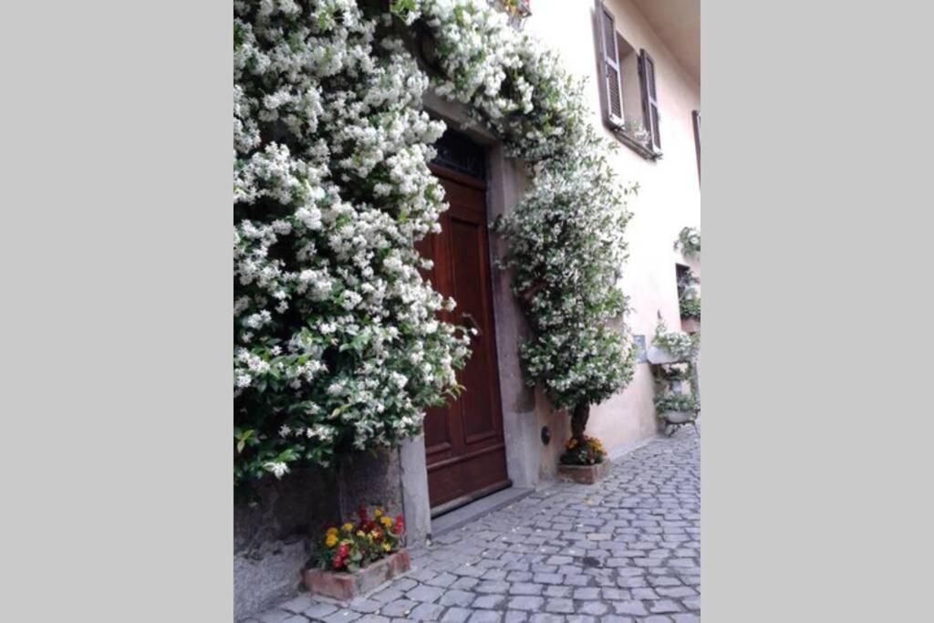 Il Gelsomino Di Isia Villa Orvieto Ngoại thất bức ảnh