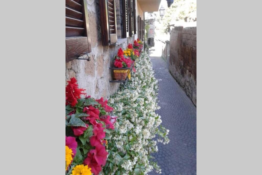 Il Gelsomino Di Isia Villa Orvieto Ngoại thất bức ảnh