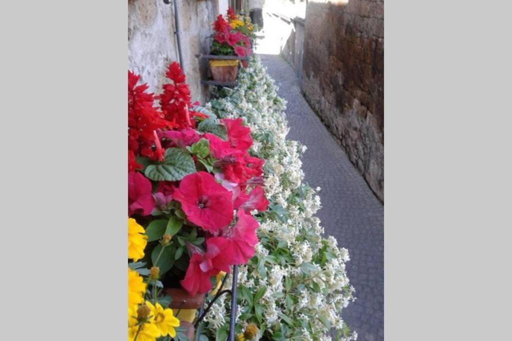 Il Gelsomino Di Isia Villa Orvieto Ngoại thất bức ảnh